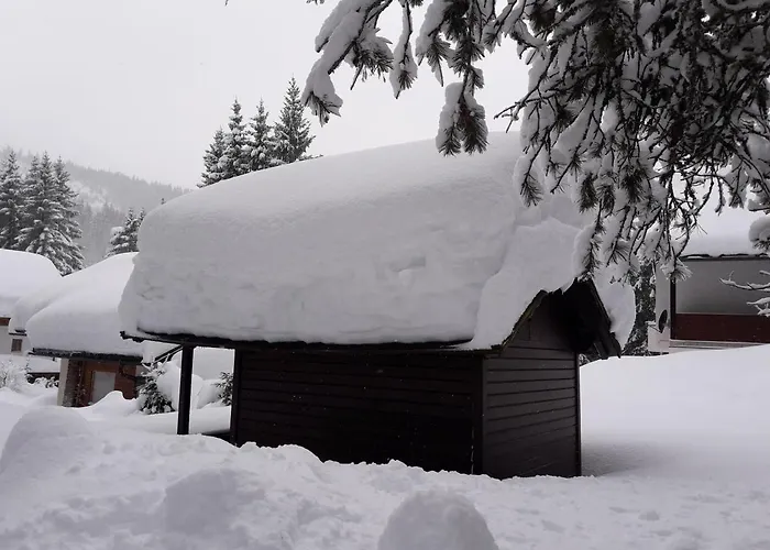 Ferienhaus Berger Aigen im Ennstal